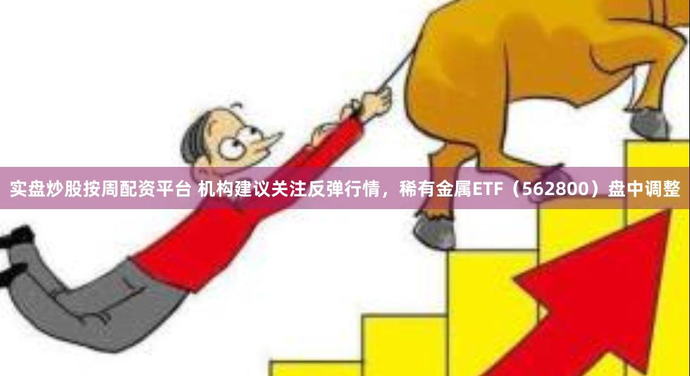 实盘炒股按周配资平台 机构建议关注反弹行情，稀有金属ETF（562800）盘中调整